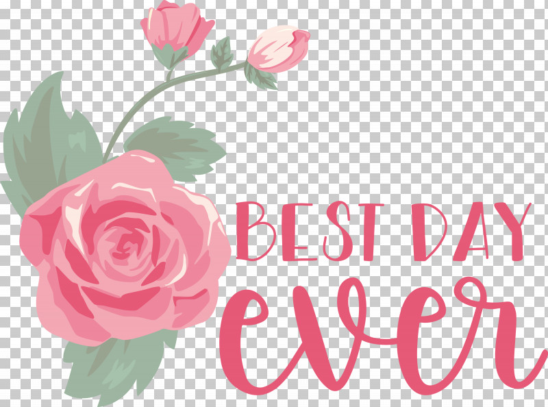 Best Day Ever Wedding PNG, Clipart, Best Day Ever, Browser Extension, Floral Design, Garden Roses, Pixlr Free PNG Download