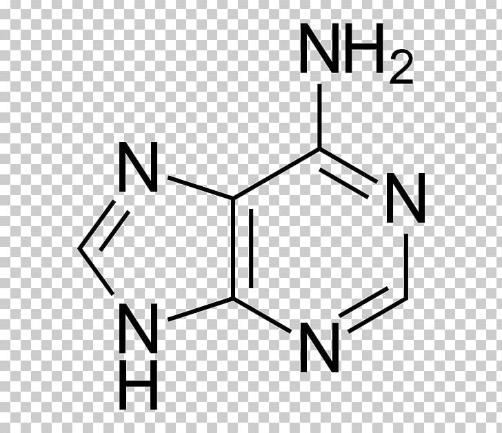 Adenine Purine Thymine Uracil Guanine PNG, Clipart, Adenosine, Angle, Area, Base Pair, Black Free PNG Download