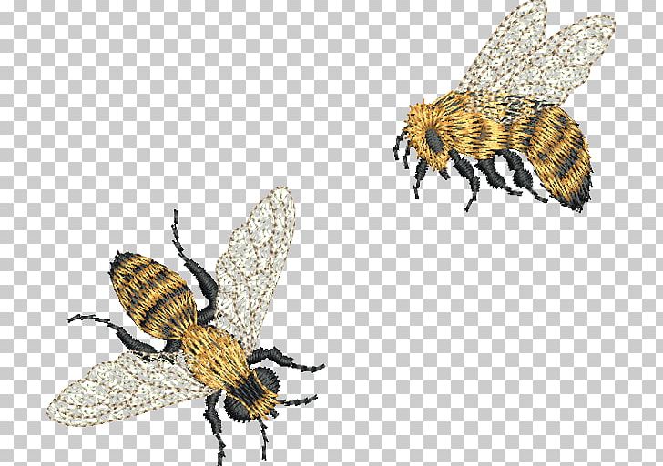 Bee Machine Embroidery Embroider Now Pattern PNG, Clipart, Arthropod, Bee, Crewel Embroidery, Cutwork, Embroiderer Free PNG Download