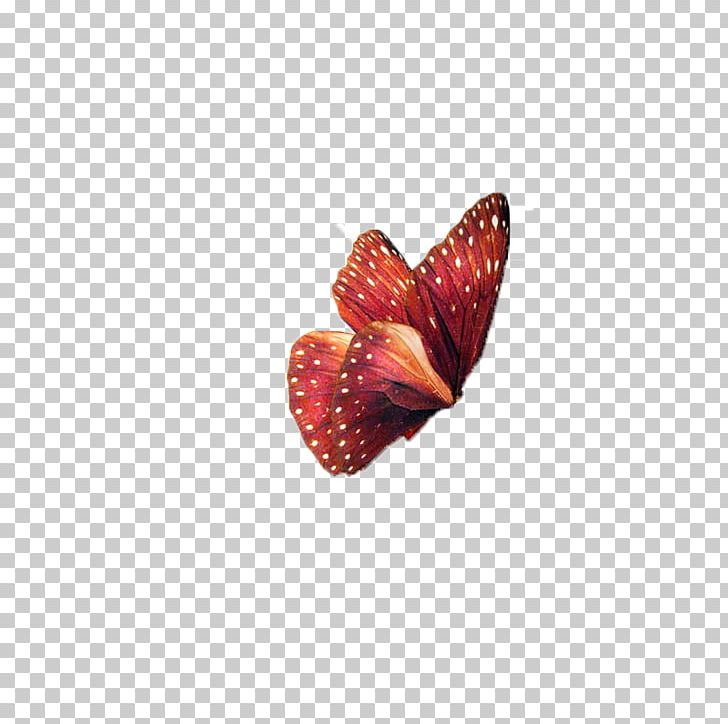 Butterfly Insect PNG, Clipart, Animals, Butterflies, Butterflies And Moths, Butterfly, Butterfly Effect Free PNG Download