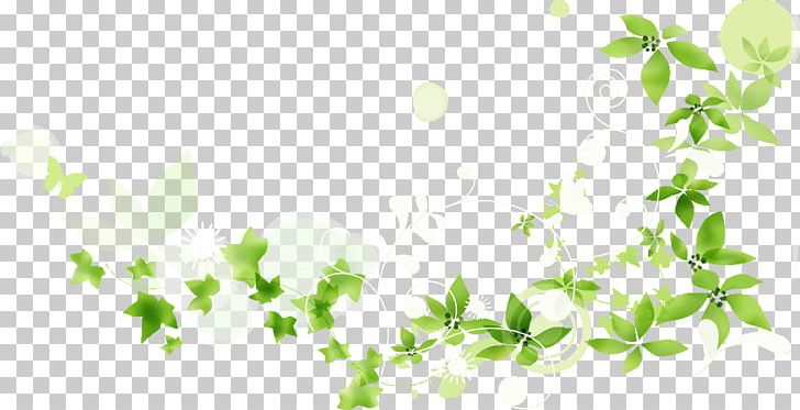 Hair Removal Photography Green PNG, Clipart, Art, Blog, Branch, Color, Computer Wallpaper Free PNG Download