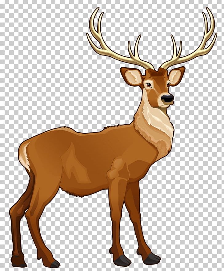 678 X 600 13 - Drawing Of Deer With Colour - Free Transparent PNG Clipart  Images Download