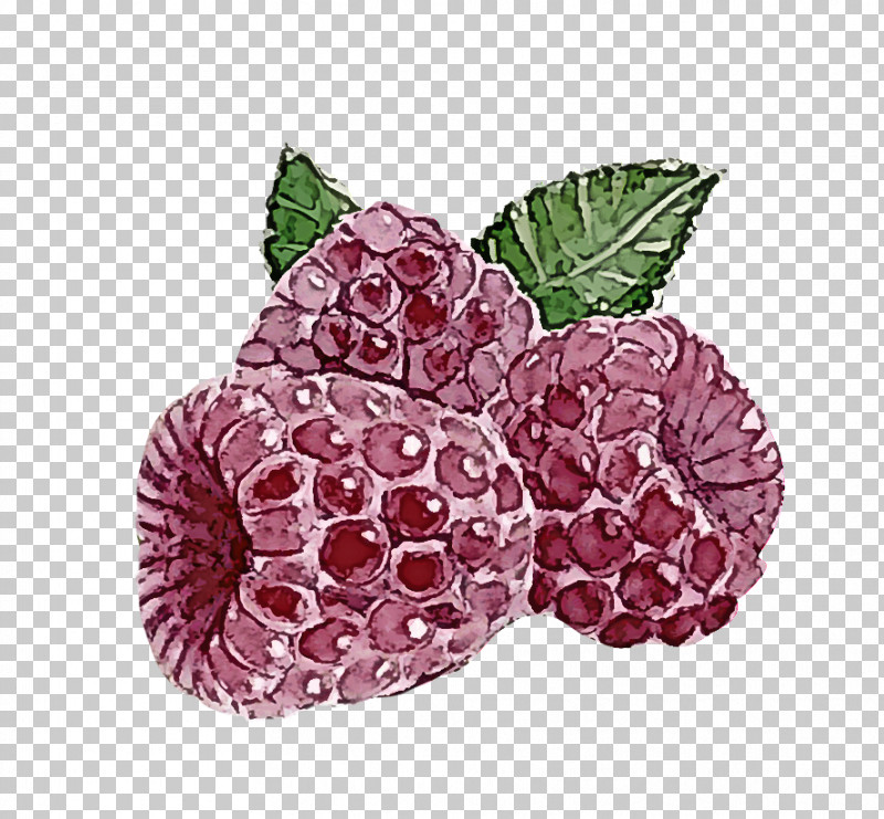 Raspberry Berry Blackberry Plant Loganberry PNG, Clipart, Berry, Blackberry, Food, Fruit, Loganberry Free PNG Download