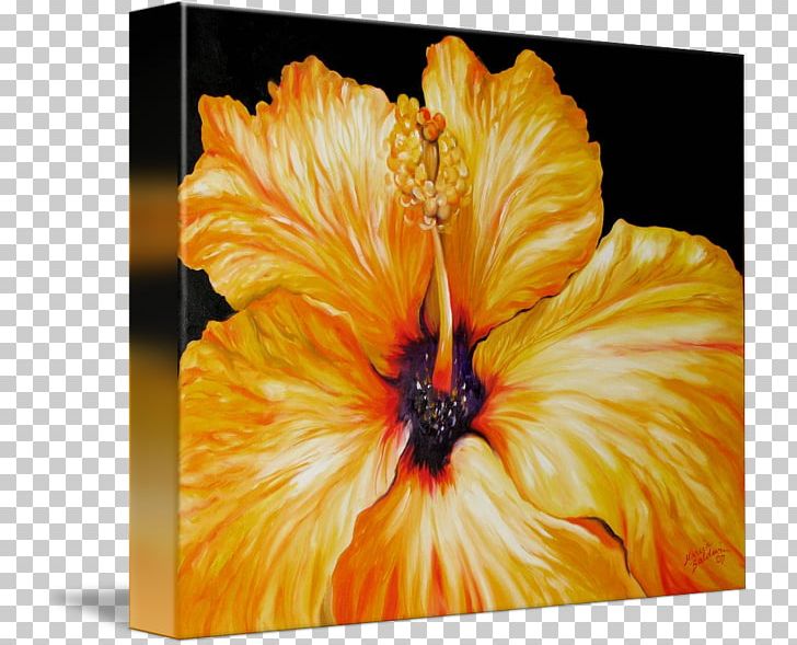 Hibiscus Gallery Wrap Modern Art Canvas PNG, Clipart, April, Art, Canvas, Flower, Flowering Plant Free PNG Download