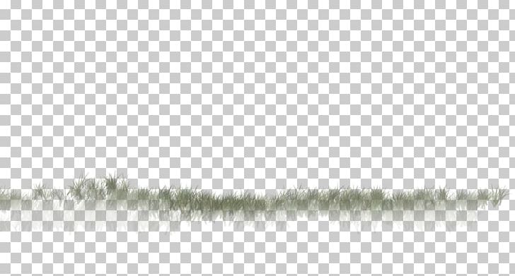 Water Line White Sky Plc PNG, Clipart, Black And White, Grass, Line, Louse, Nature Free PNG Download