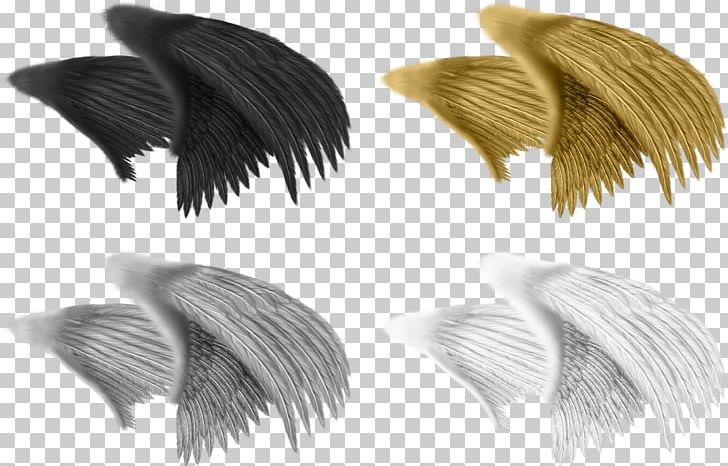 Drawing Animation Feather PNG, Clipart, Angel Wings, Animation, Background Black, Black, Black Background Free PNG Download
