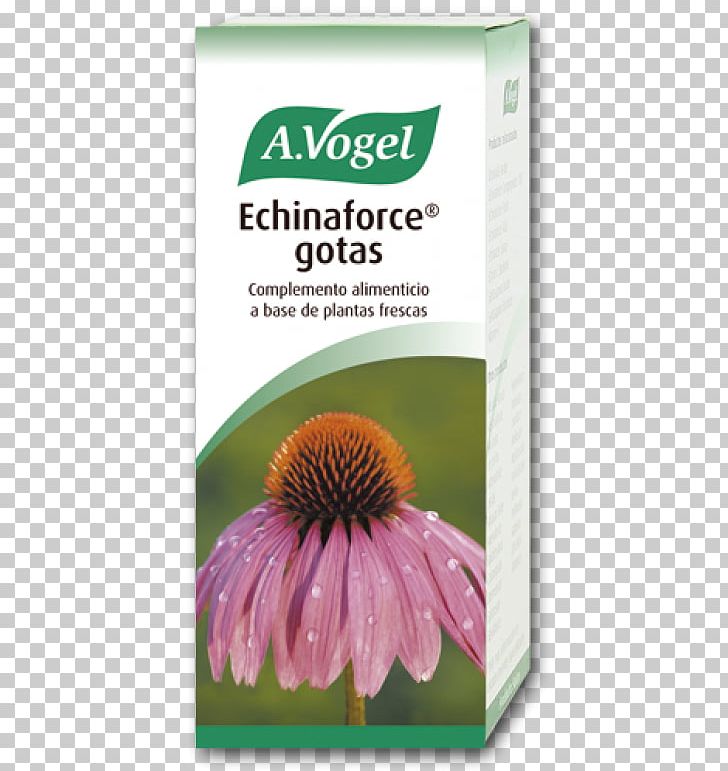 A.Vogel Echinaforce Hot Drink 100Ml Coneflower Common Cold Health PNG, Clipart, Alfred Vogel, Common Cold, Coneflower, Drink, Flower Free PNG Download