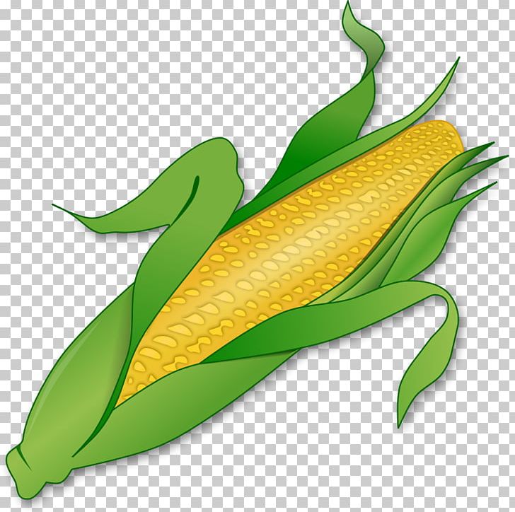 Corn On The Cob Candy Corn Maize Free Content PNG, Clipart, Candy Corn, Commodity, Computer Icons, Corncob, Corn On The Cob Free PNG Download