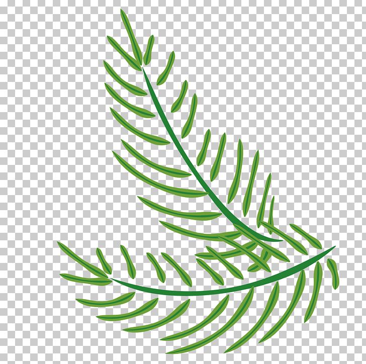 Green Leaf Twig Arecaceae PNG, Clipart, Banana Leaves, Beach, Branch, Canvas, Easter Vector Free PNG Download