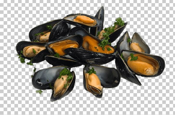 Mussel Oyster Cooking Food Clam PNG, Clipart, Animal Source Foods, Clam, Clams Oysters Mussels And Scallops, Cooking, Cornish Free PNG Download