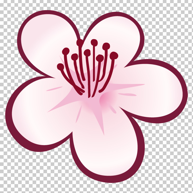 Plum Blossoms Plum Winter Flower PNG, Clipart, Flower, Magenta, Petal, Pink, Plant Free PNG Download