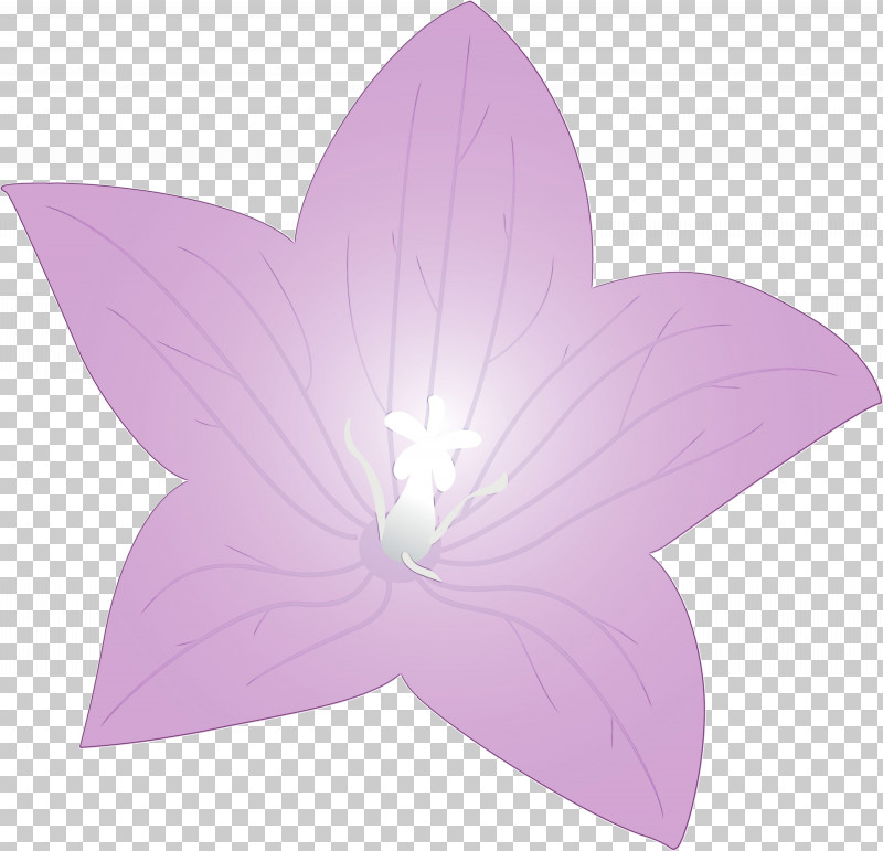 Lavender PNG, Clipart, Balloon Flower, Flower, Lavender, Paint, Petal Free PNG Download