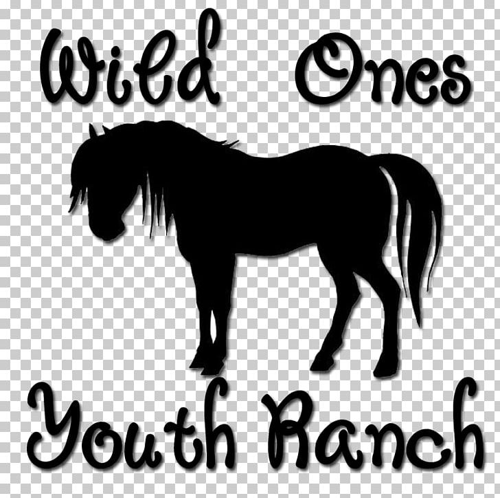 American Quarter Horse Pony Mare Colt Equestrian PNG, Clipart, American Quarter Horse, Animal, Animals, Collection, Horse Free PNG Download