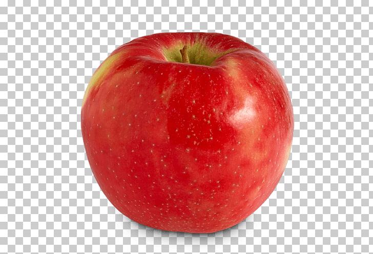 Apple Honeycrisp Food Northern Spy Cortland PNG, Clipart, Accessory Fruit, Apple, Cortland, Diet Food, Food Free PNG Download