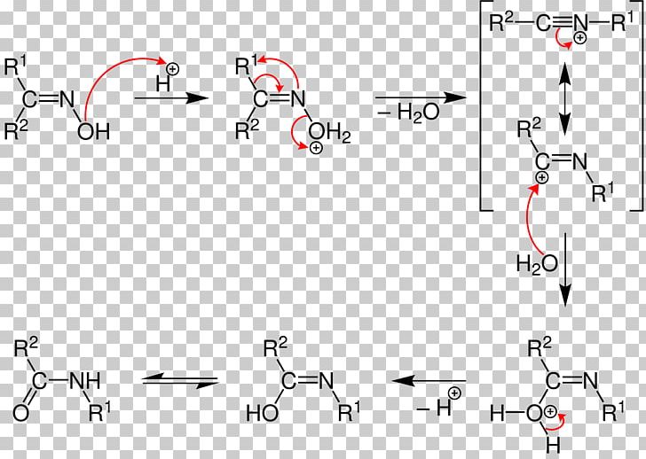Beckmann Rearrangement Rearrangement Reaction Amide Hofmann Rearrangement Chemical Reaction PNG, Clipart, Acid, Acid Catalysis, Amide, Amine, Angle Free PNG Download