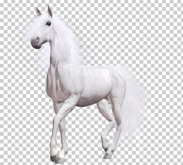 Horse Computer Icons Computer Software Desktop PNG, Clipart, Android, Android Application Package, Animal, Animal Figure, Animals Free PNG Download