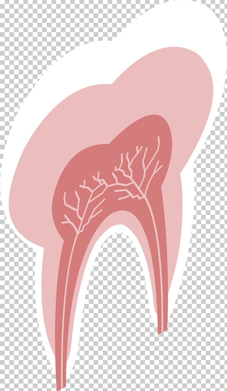 Shoulder Tooth Illustration PNG, Clipart, Biological Medicine, Biological Medicine Catalogue, Biomedical Cosmetic Surgery, Biomedical Vector, Gules Free PNG Download