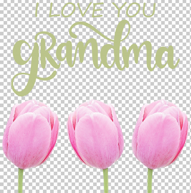 Cut Flowers Tulip Petal Flower Plant PNG, Clipart,  Free PNG Download