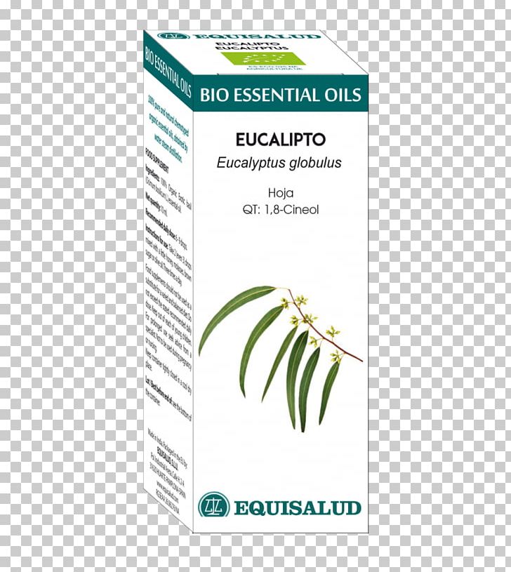Garden Thyme Essential Oil Eucalyptol Basil PNG, Clipart, Aromatherapy, Basil, Essential Oil, Eucalipto, Eucalyptol Free PNG Download