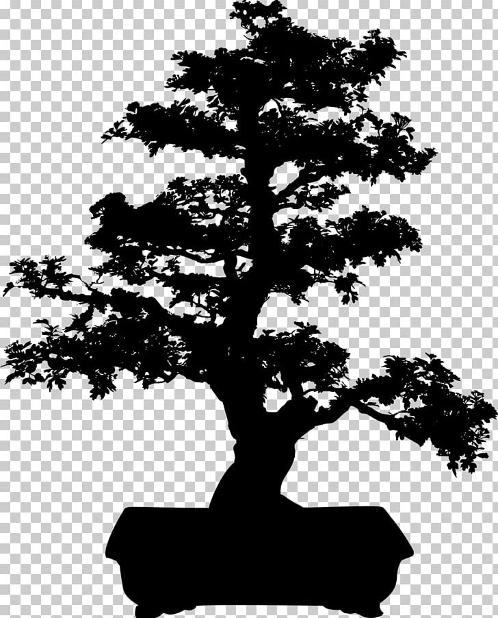 Bonsai Tree Silhouette PNG, Clipart, Black And White, Bonsai, Branch, Flowerpot, Houseplant Free PNG Download