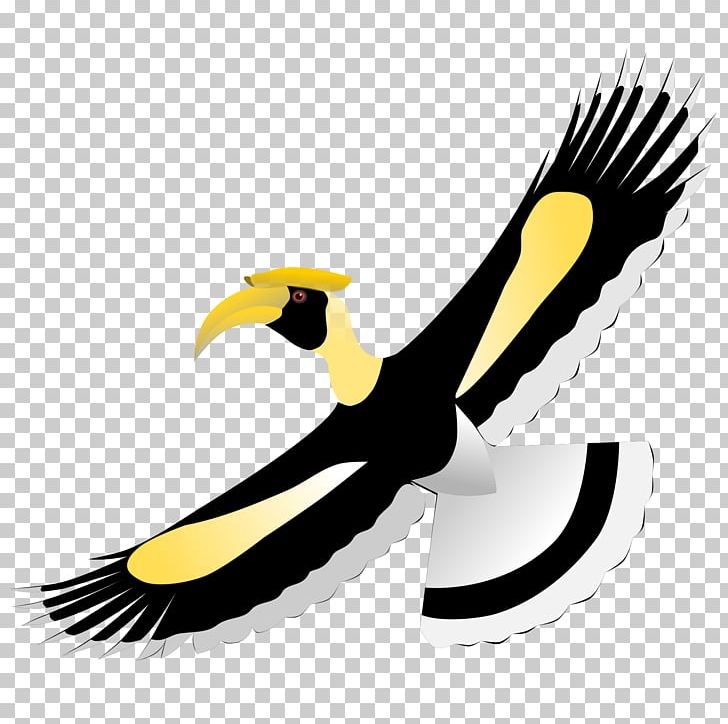 Hornbill Bird PNG, Clipart, Animals, Beak, Bird, Bird Of Prey, Clip Art Free PNG Download
