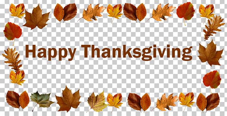 Thanksgiving Chicago Bears Happiness Wish PNG, Clipart, Autumn, Chicago Bears, Discovery, Family, Flower Free PNG Download