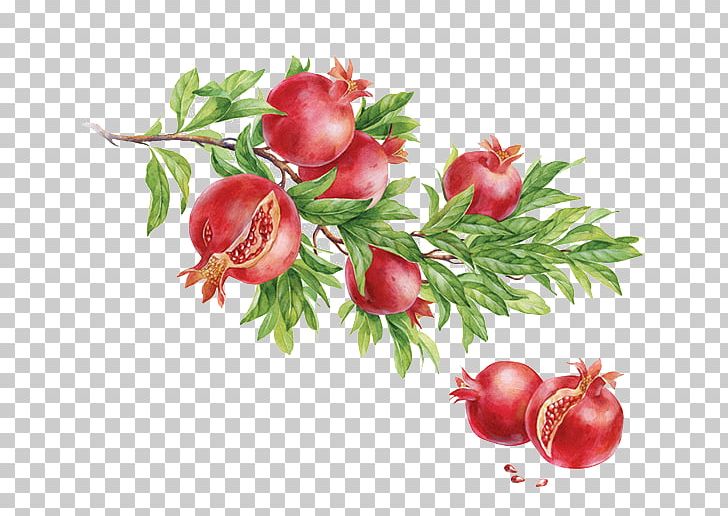 Watercolor Painting Dribbble Behance Illustration PNG, Clipart, Apple, Art, Artist, Autumn, Behance Free PNG Download