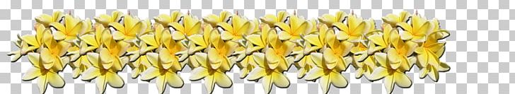 Red Frangipani Plumeria Alba Plants Flower PNG, Clipart, Commodity, Corn, Corn On The Cob, Cut Flowers, Desktop Wallpaper Free PNG Download