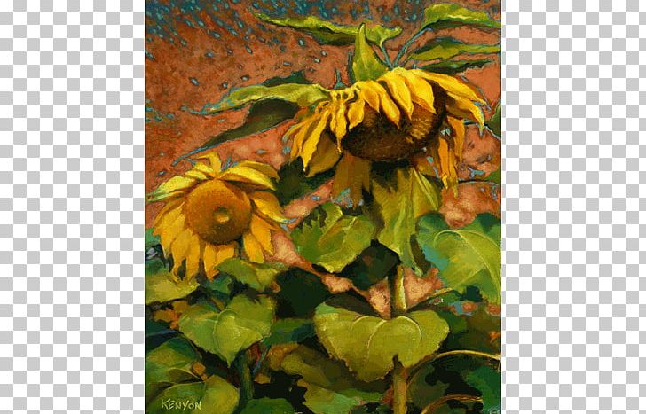 Common Sunflower Still Life Pastel Painting Art PNG, Clipart,  Free PNG Download