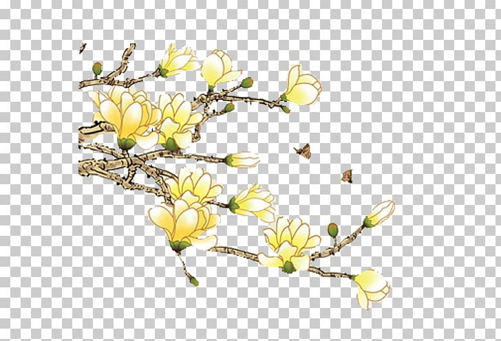 Magnolia Denudata Magnolia Xd7 Alba Orchids Painting PNG, Clipart, Blue, Branch, Cherry Blossom, Color, Creative Free PNG Download