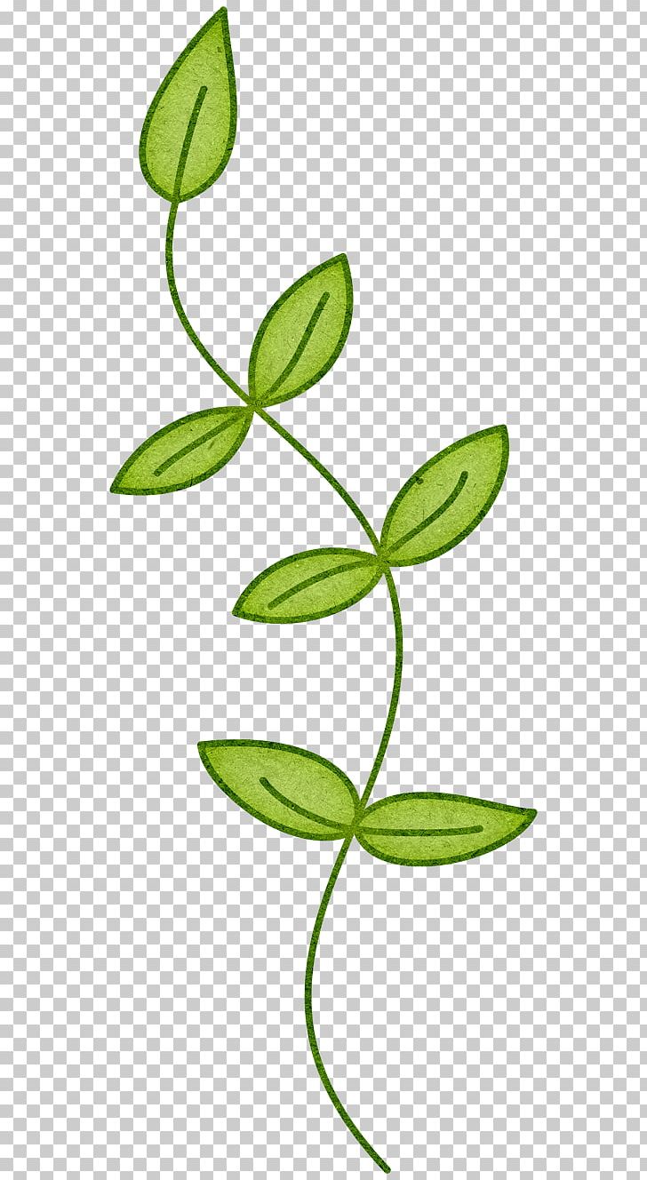 Branch Plant Stem Leaf PNG, Clipart, Branch, Brush, Computer Icons, Flora, Flower Free PNG Download