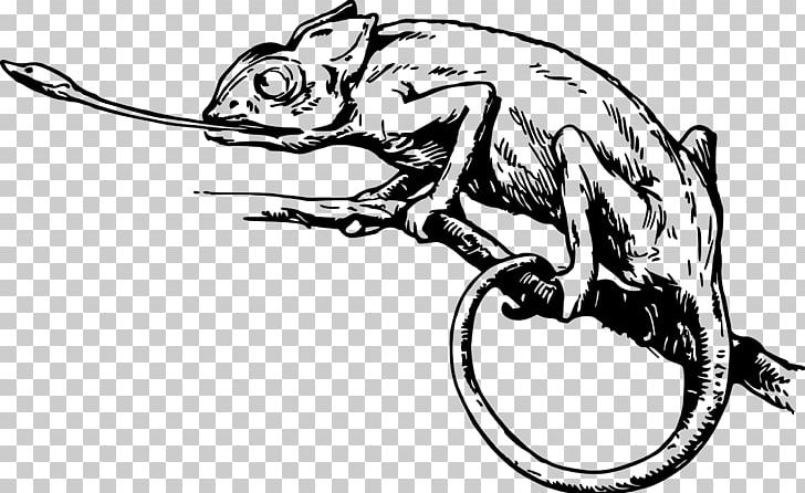 Chameleons Lizard Black And White PNG, Clipart, Amphibian, Animals, Artwork, Black And White, Carnivoran Free PNG Download