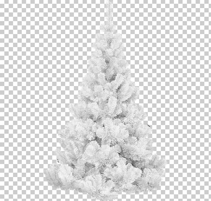 Christmas Tree Spruce PNG, Clipart, Black And White, Christmas, Christmas Decoration, Christmas Ornament, Christmas Tree Free PNG Download