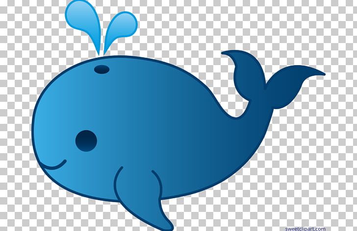 Killer Whale PNG, Clipart, Animals, Artwork, Beluga Whale, Blue, Blue Whale Free PNG Download