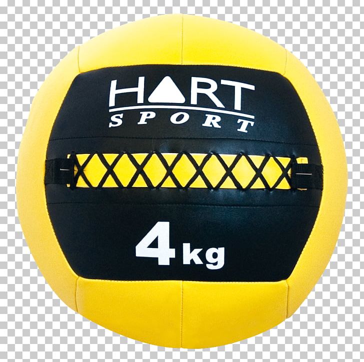 Volleyball Medicine Balls Polyurethane PNG, Clipart, Ball, Brand, Dodgeball A True Underdog Story, Fitness Ball, Foam Free PNG Download