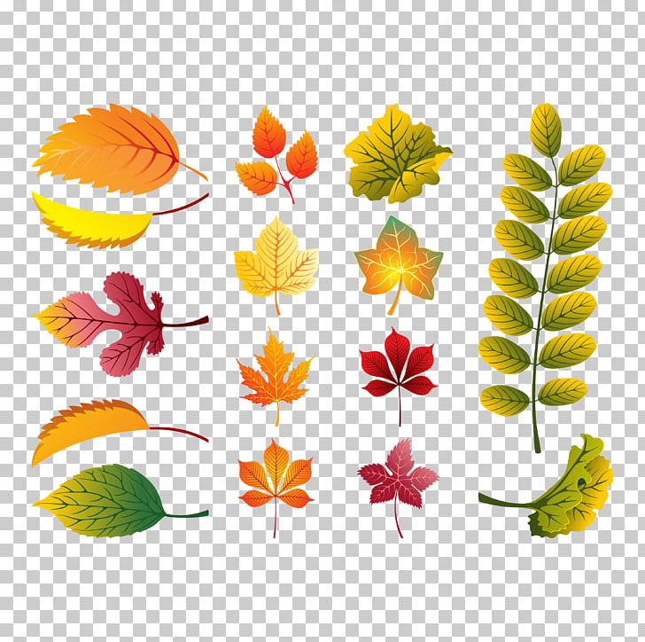 Autumn Leaf Color Euclidean PNG, Clipart, Autum, Autumn Leaves, Autumn Tree, Color, Deciduous Free PNG Download