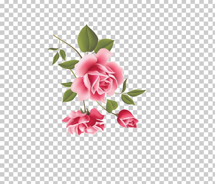 Beach Rose Pink Flower PNG, Clipart, Beach Rose, Flora, Floral Design, Floristry, Flower Free PNG Download