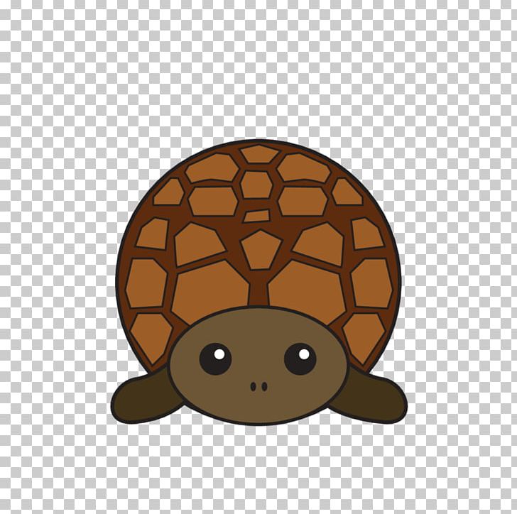 Blue Whale Turtle Reptile Animal Peekaboo! Sea PNG, Clipart, Animal, Animals, Balaenoptera, Blue Whale, Brown Free PNG Download