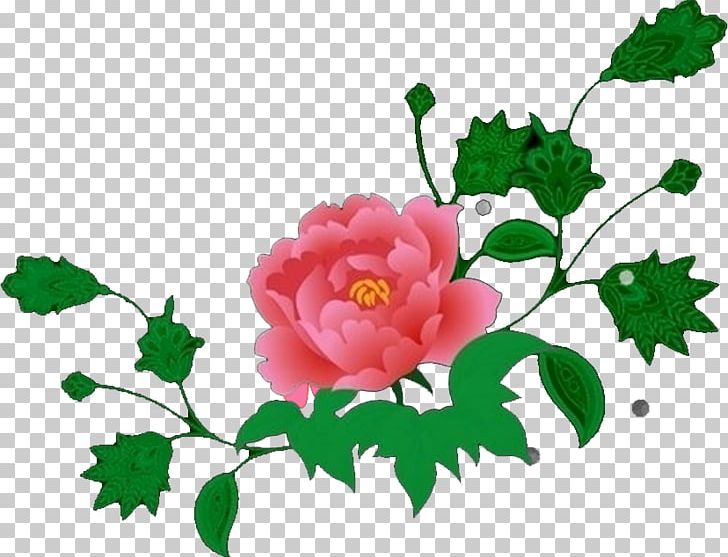 Garden Roses SWF Cut Flowers PNG, Clipart, Branch, Centifolia Roses, Cut Flowers, Dec, Flower Free PNG Download