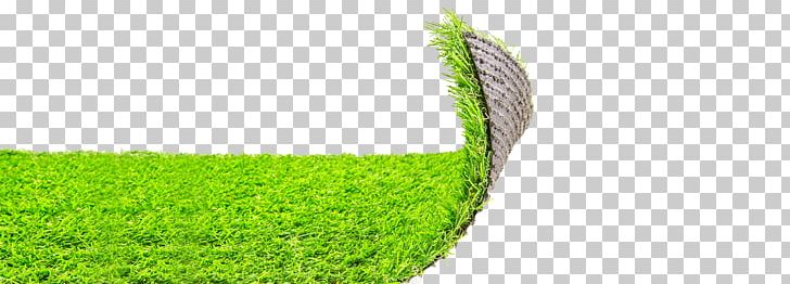 Lawn Artificial Turf Garden Meadow Carpet PNG, Clipart, Artificial Turf, Carpet, Furniture, Garden, Golf Ball Free PNG Download