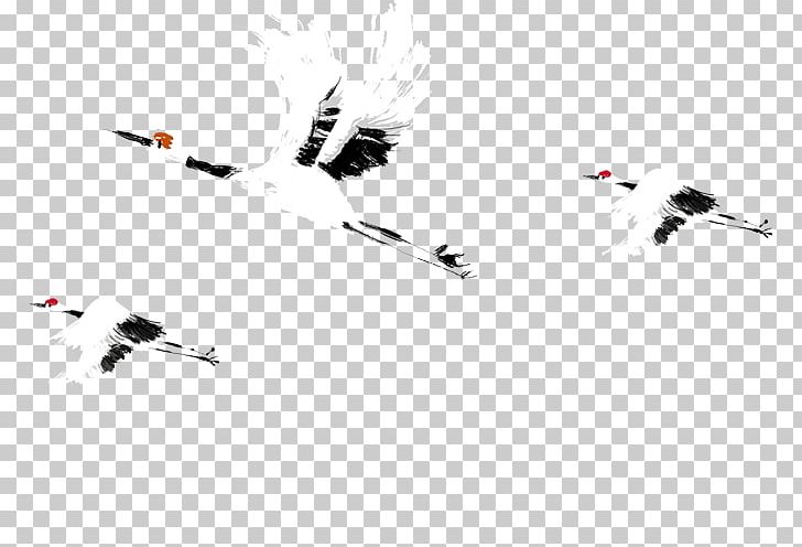 Red-crowned Crane Bird Flight PNG, Clipart, 3d Three Dimensional Flower, Angle, Bird, Bird Flight, Crane Free PNG Download
