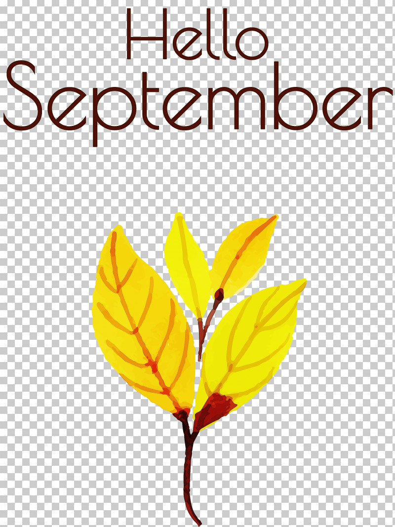Hello September September PNG, Clipart, Biology, Flower, Geometry, Hello September, Leaf Free PNG Download