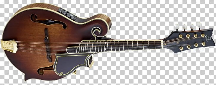 Musical Instruments Electric Guitar String Instruments Mandolin PNG, Clipart, Acoustic Electric Guitar, Amancio Ortega, Guitar Accessory, Musical Instruments, Musical Tone Free PNG Download