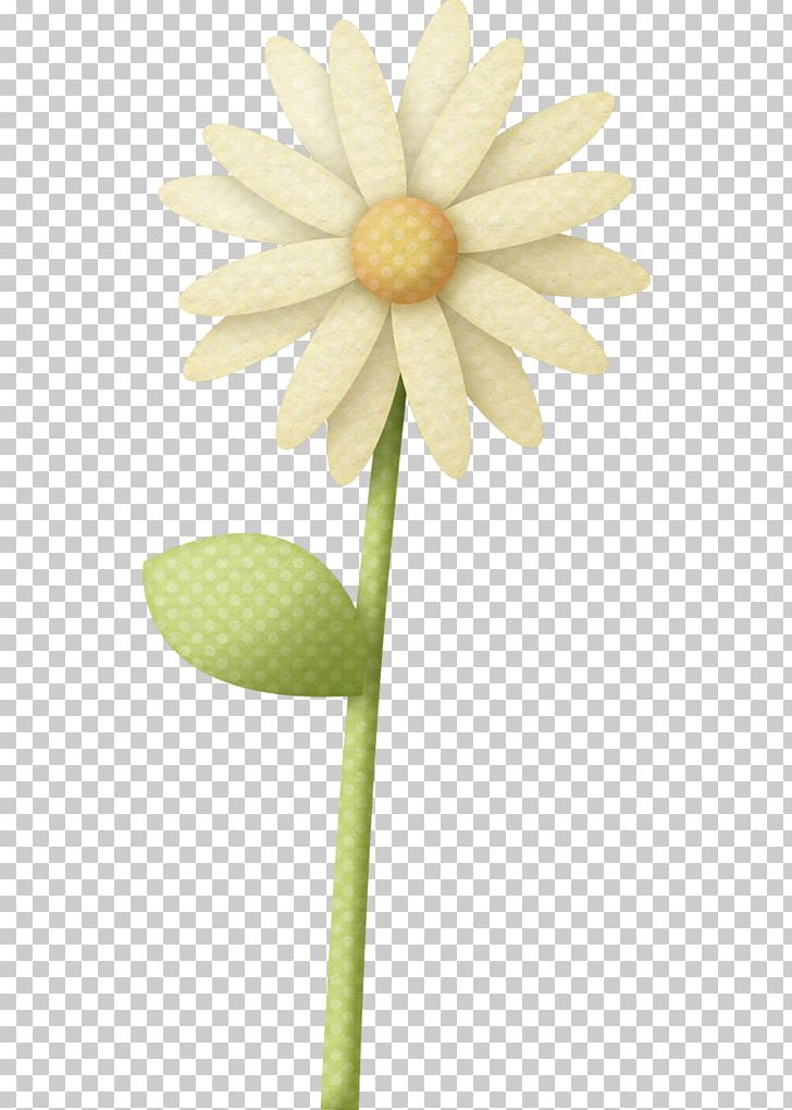 Open Flower Free Content PNG, Clipart, 2018, Art, Computer Icons, Cut Flowers, Daisy Free PNG Download