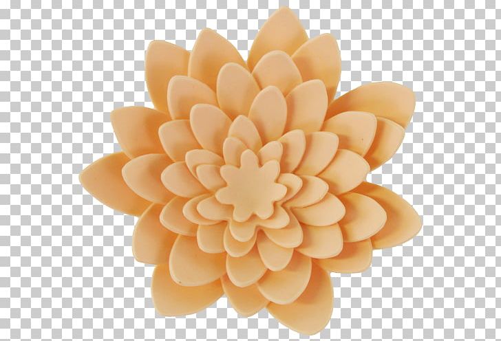 Dahlia PNG, Clipart,  Free PNG Download