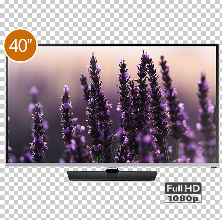 Samsung H5000 Series 5 LED-backlit LCD Samsung Group 1080p PNG, Clipart, 1920 X 1080, Display Device, Highdefinition Television, Lavender, Led Free PNG Download