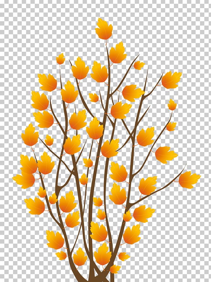 Shrub Tree PNG, Clipart, Autumn, Branch, Cut Flowers, Desktop Wallpaper, Floral Design Free PNG Download