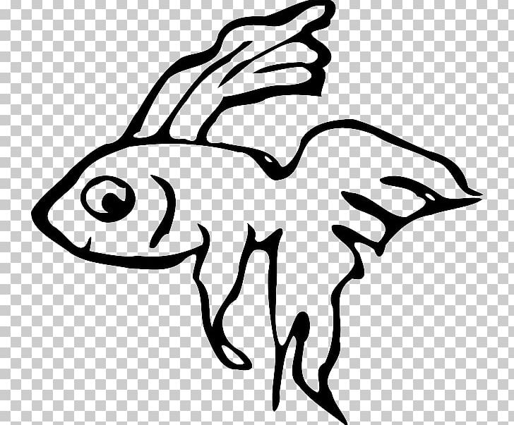 Siamese Fighting Fish Veiltail Ornamental Fish PNG, Clipart, Animal, Animals, Art, Artwork, Beak Free PNG Download