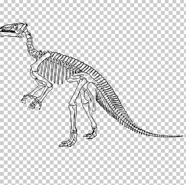 Tyrannosaurus Iguanodon Lesothosaurus Velociraptor Edmontosaurus Annectens PNG, Clipart, Bone, Cartoon Dinosaur, Cute Dinosaur, Dinosaurs, Drawing Free PNG Download