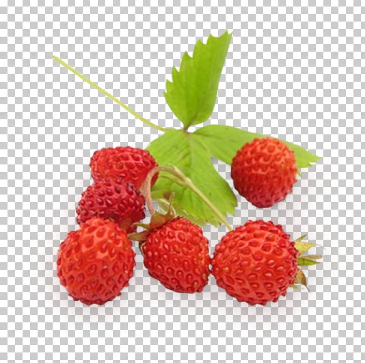 Wild Strawberry Berries Fruit Raspberry PNG, Clipart, Aufguss, Balsamic Vinegar, Berries, Berry, Blackberry Free PNG Download